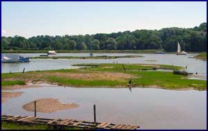 A mud berth